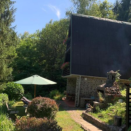 Holiday Home Dragonfly River House On Korana Near Plitvice And Mreznica Barilovic Exterior foto