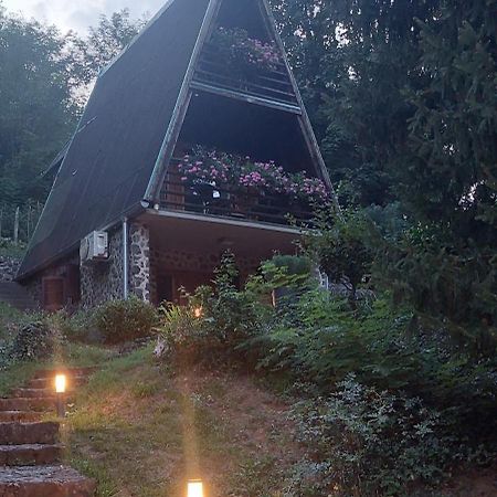 Holiday Home Dragonfly River House On Korana Near Plitvice And Mreznica Barilovic Exterior foto