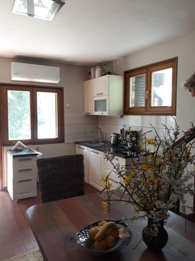 Holiday Home Dragonfly River House On Korana Near Plitvice And Mreznica Barilovic Exterior foto