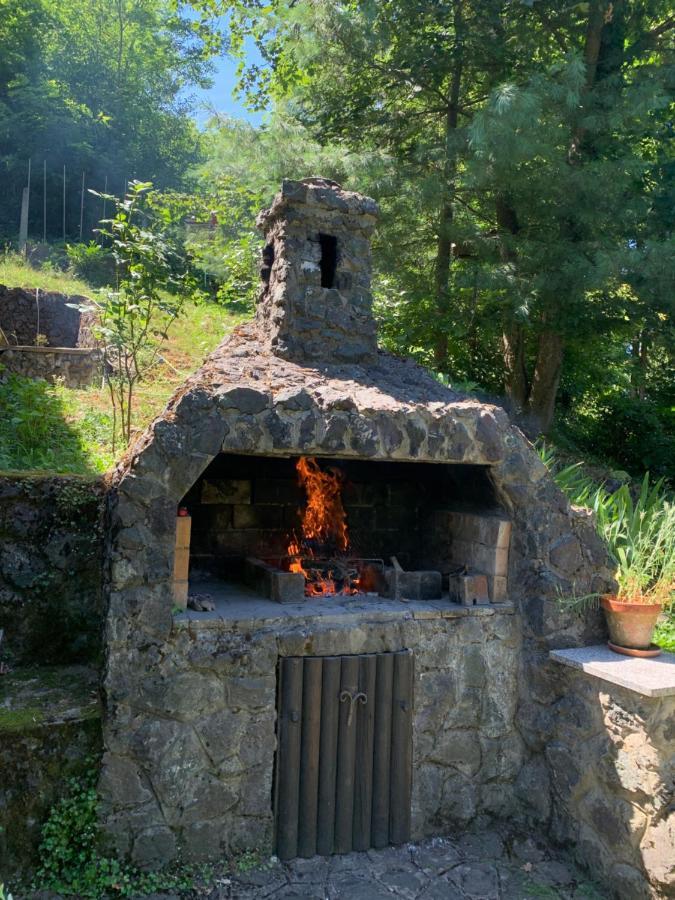 Holiday Home Dragonfly River House On Korana Near Plitvice And Mreznica Barilovic Exterior foto